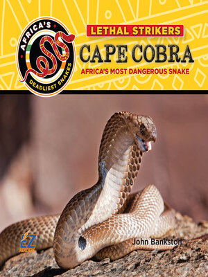 cover image of Cape Cobra: Africa's Most Dangerous Snake